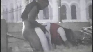 Nóng máu đen cô gái hút lớn jav hd mới trắng dicks